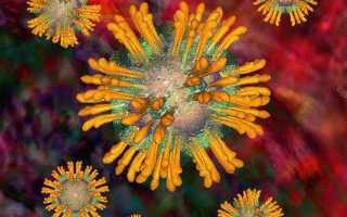 Исследования на вирус гепатита в (ифа и пцр)