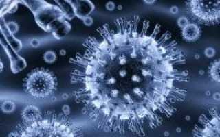 Антитела к гепатиту с: что это такое, когда появляются, остаются ли после лечения?