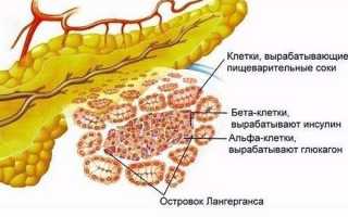 Значимость желчного пузыря для организма: функции органа, симптомы и профилактика заболеваний