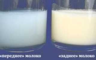 Цвет грудного молока в норме